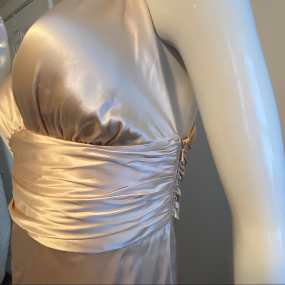 Nicole Miller Champagne Floor Length Dress - Picture 4 of 14